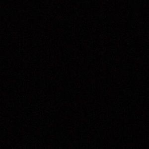 Meet your Posher, Dominique